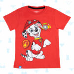 PAW-1491-AC