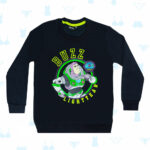 BLG-006-A