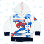 MSM-2196-A