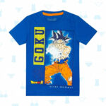 DBS-0313-A