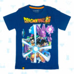 DBS-0378-A